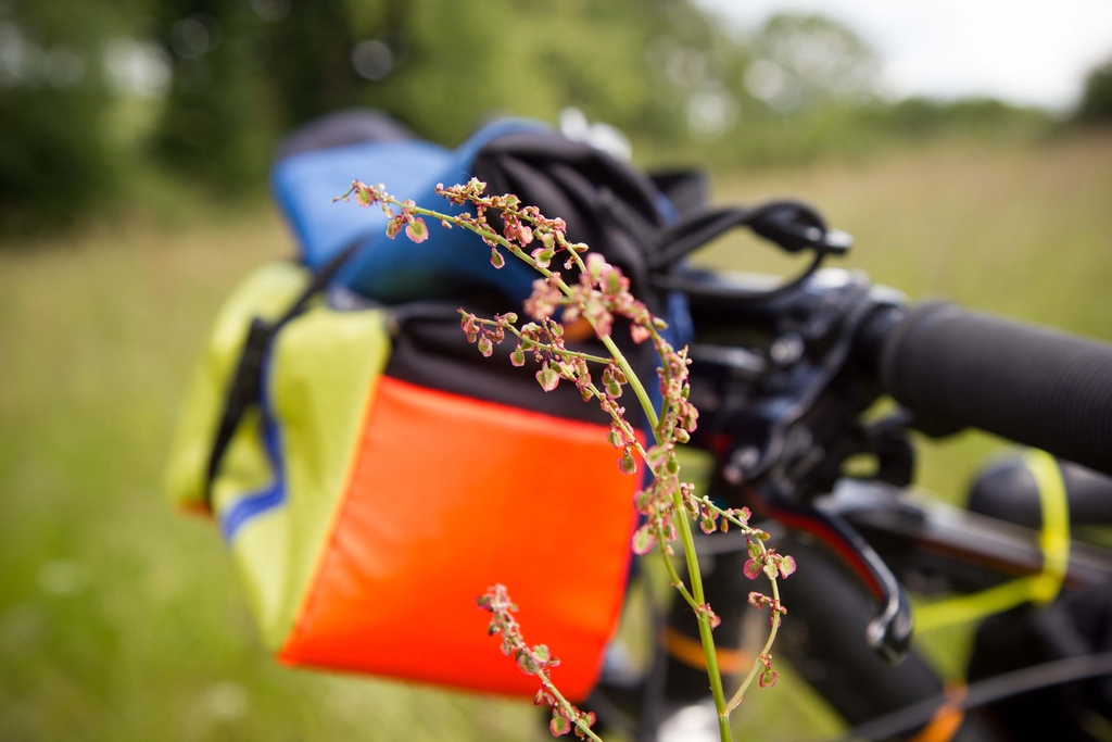 Sacoche de guidon colorée