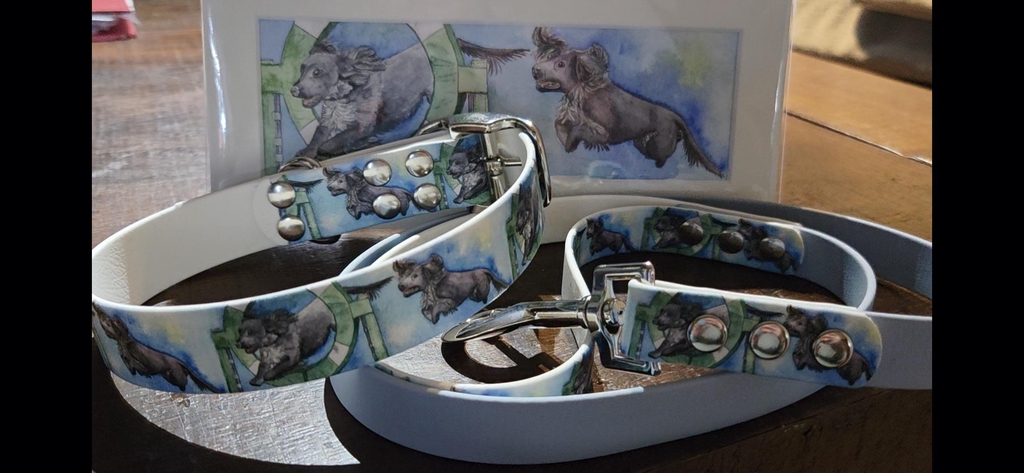 Custom original watercolour paintings turned into printed biothane collars and leads