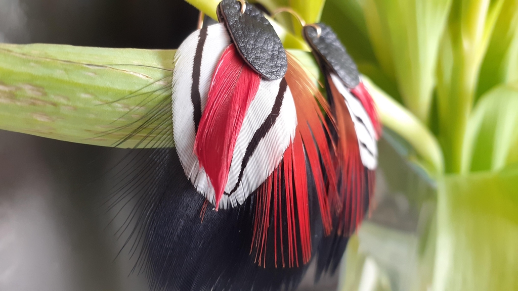 product_list_image_cover