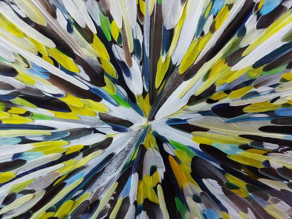 product_list_image_cover