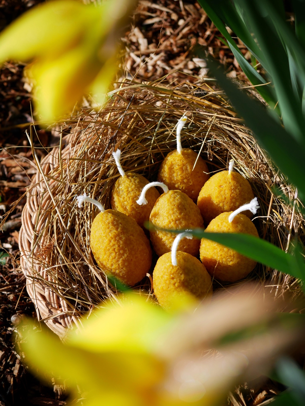 bougie oeuf fleuri dithyrambik
paques cadeau enfant alternative éthique et responsable