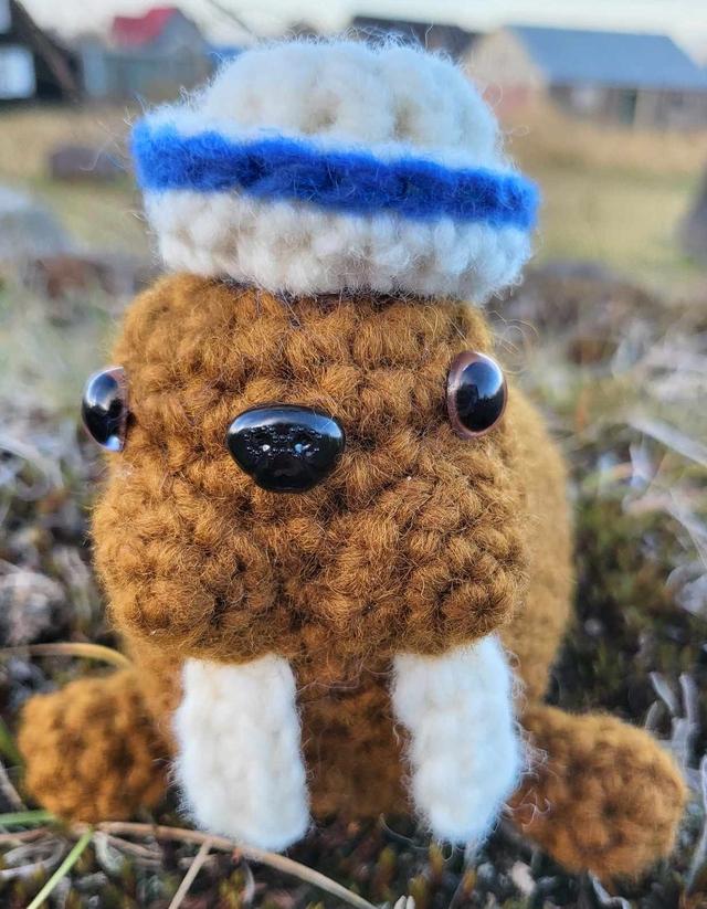 product_list_image_cover