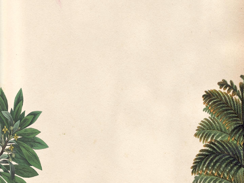 Musiikkituotanto Coda & Musiikkikoulu Coda. Kitara-, ukulele-, basso- ja laulutunnit Jyväskylän Keljonkankaalla. Sähkökitara, akustinen kitara, klassinen kitara, sähköbasso, ukulele, laulu.