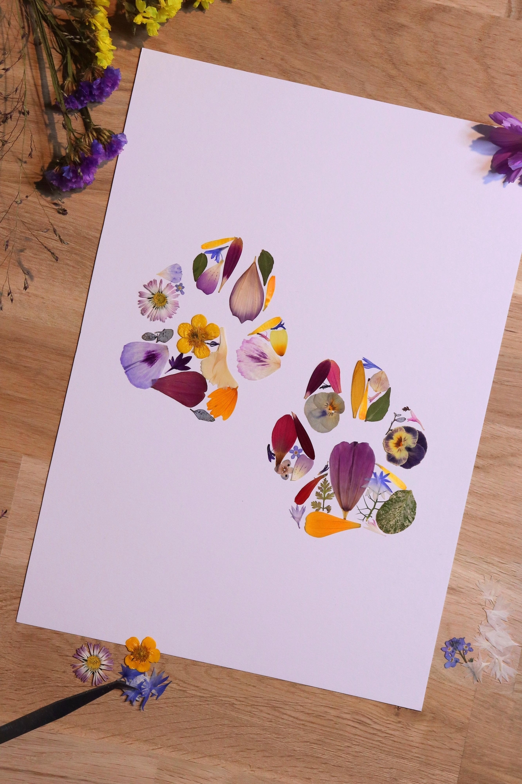 Herbier personnalisé en fleurs pressées pour les amoureux d'animaux. Représentant des empreintes de pattes de chien.