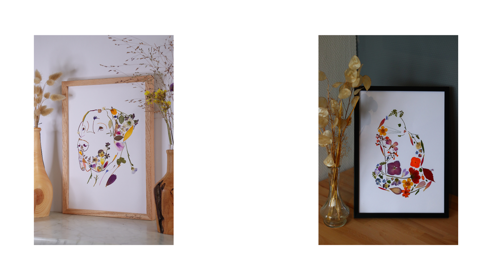 Deux photos d'herbiers 100% sur mesure en fleurs séchées (portrait de dogue Allemand et silhouette d'un chat). Fabrication artisanale en fleurs séchées, Nord de la France, Rosult