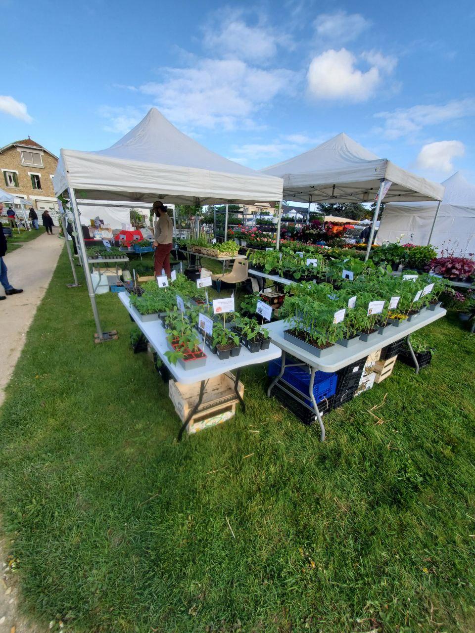 Photo du stand de la pépinière d'Agathe lors de la fête des plantes de Sainte Geneviève des Bois 2024