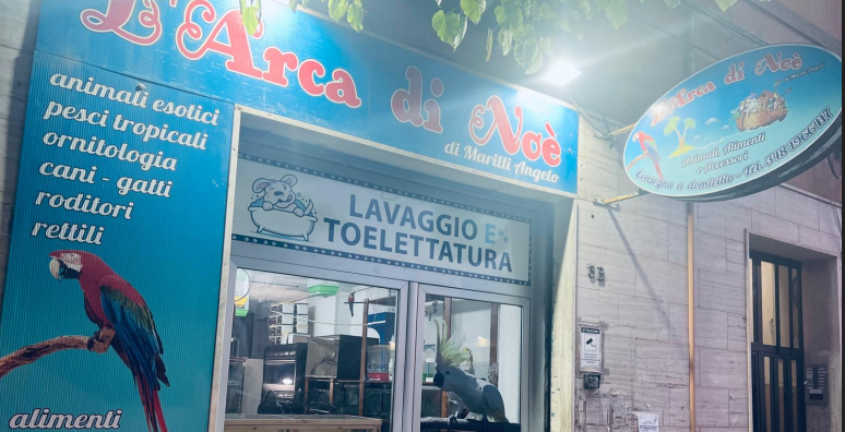 VENDITA ANIMALI, ALIMENTI ED ACCESSORI.

INGROROSSO E DETTAGLIO.

SPEDIZONE IN TUTTA ITALIA...