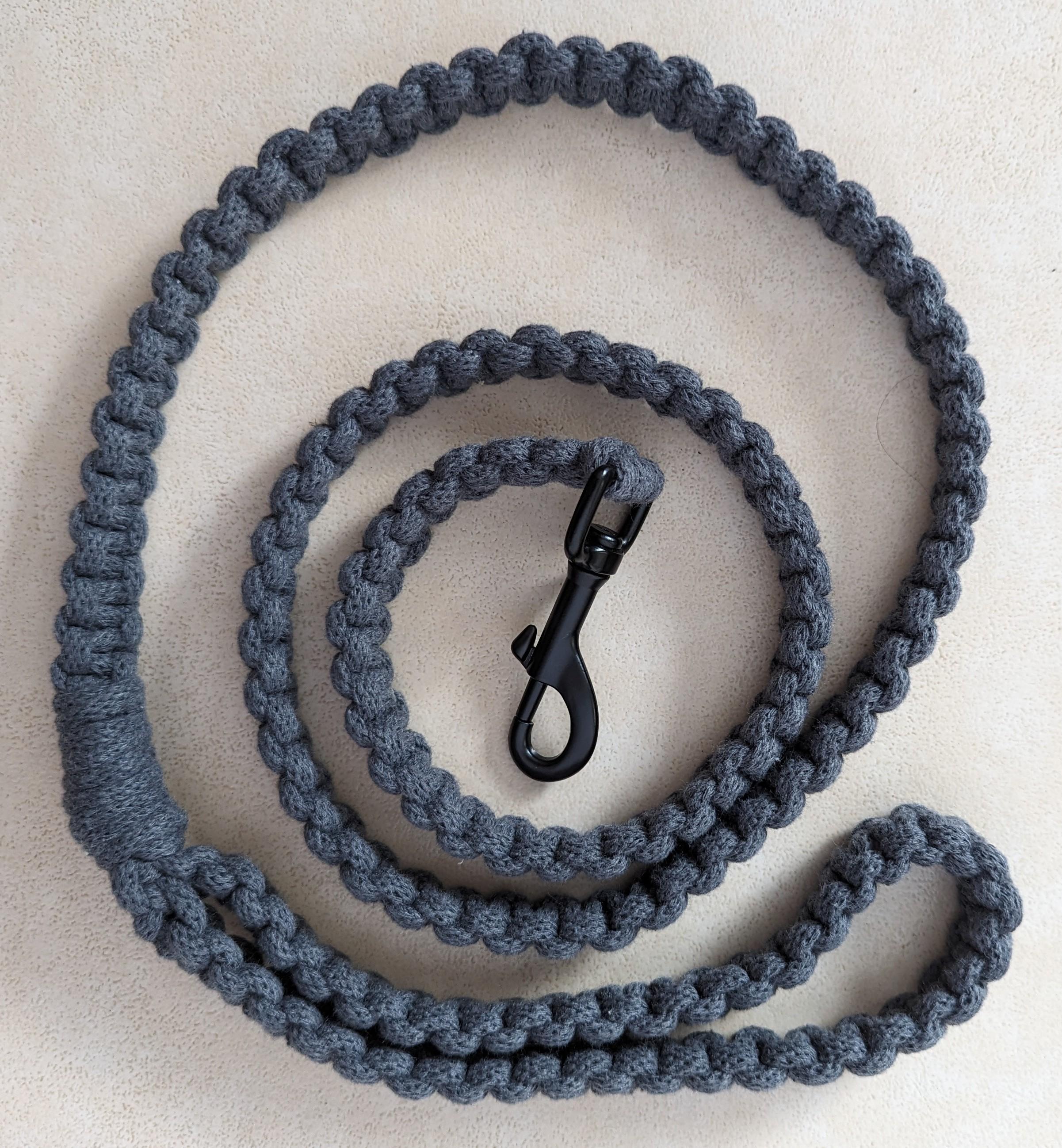 Dog Accessories