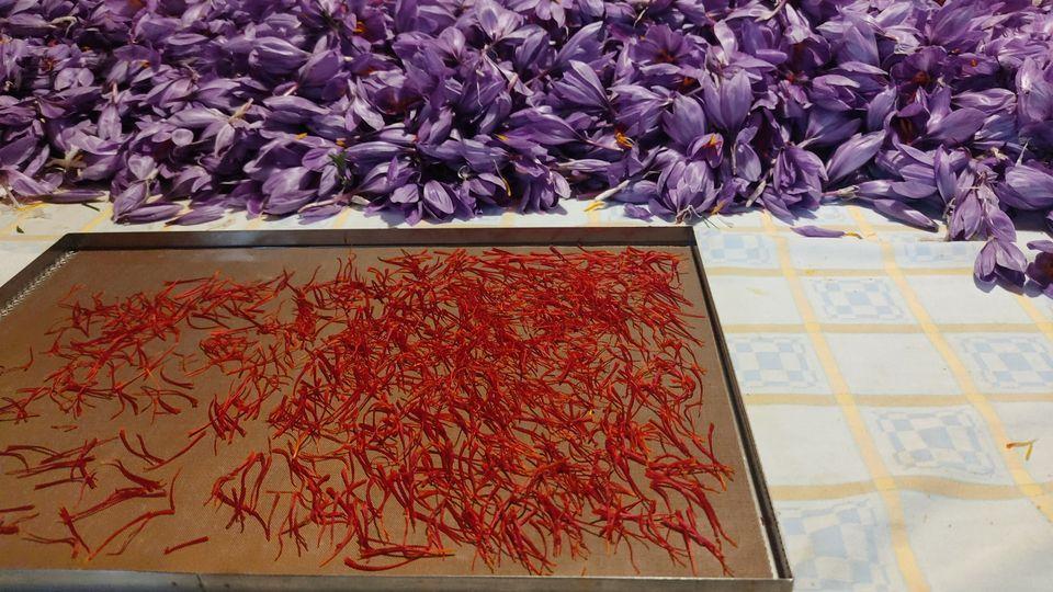 ZAFFERANO del POLESINE