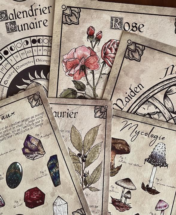 Illustrations & Papeterie