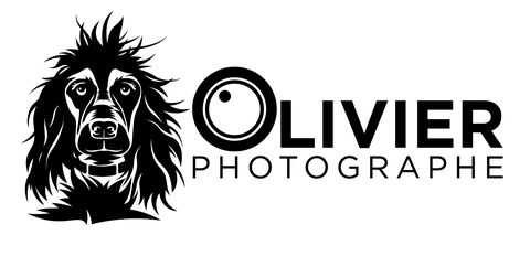 Boutique Olivier Photographe 3 bd de l'Yerres 91000 EVRY