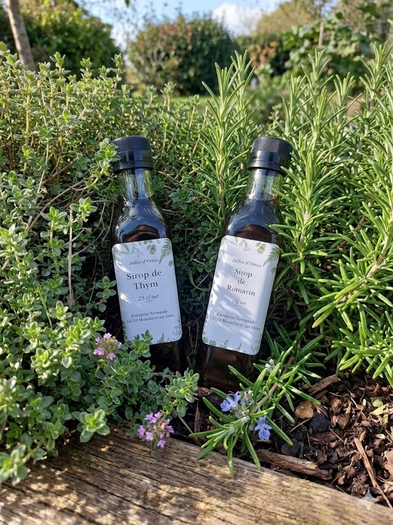 Gamme de sirops artisanaux Délice d'Orties au cœur d'un jardin d'herbes aromatiques normand ensoleillé