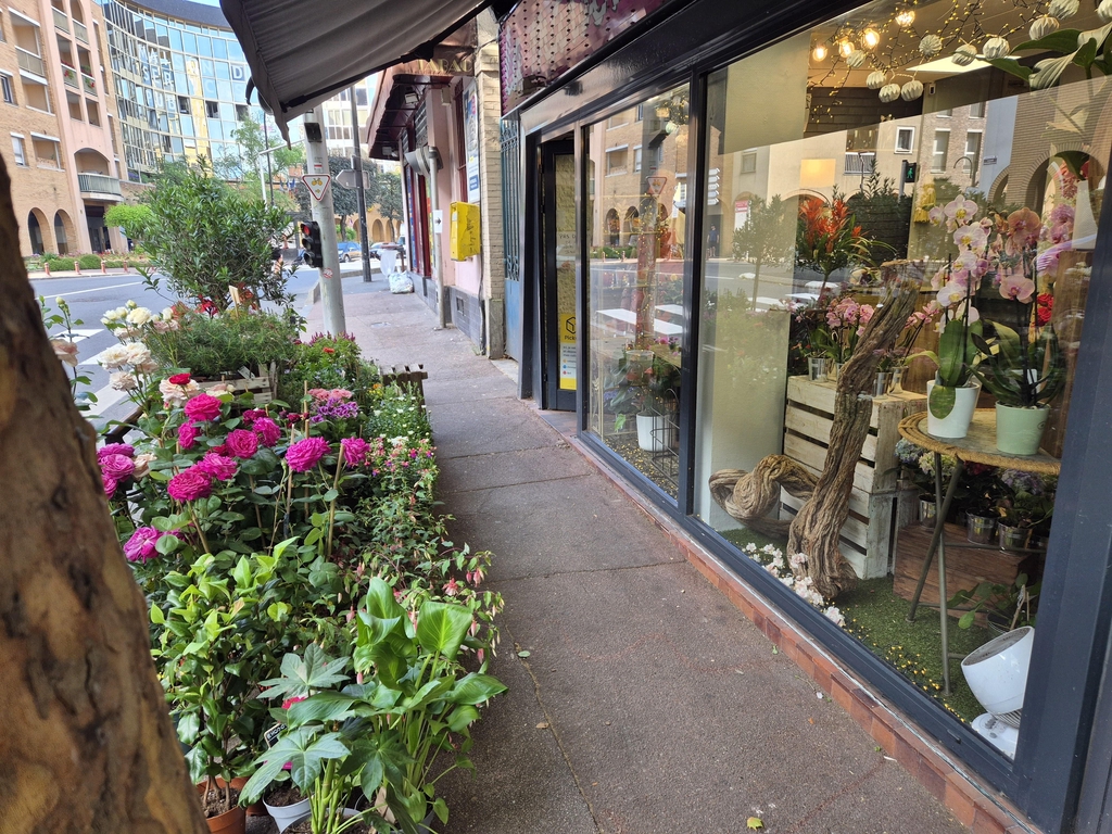 FLEURISTE CACHAN ANTONY BOURG-LE-REINE BAGNEUX ARCUEIL