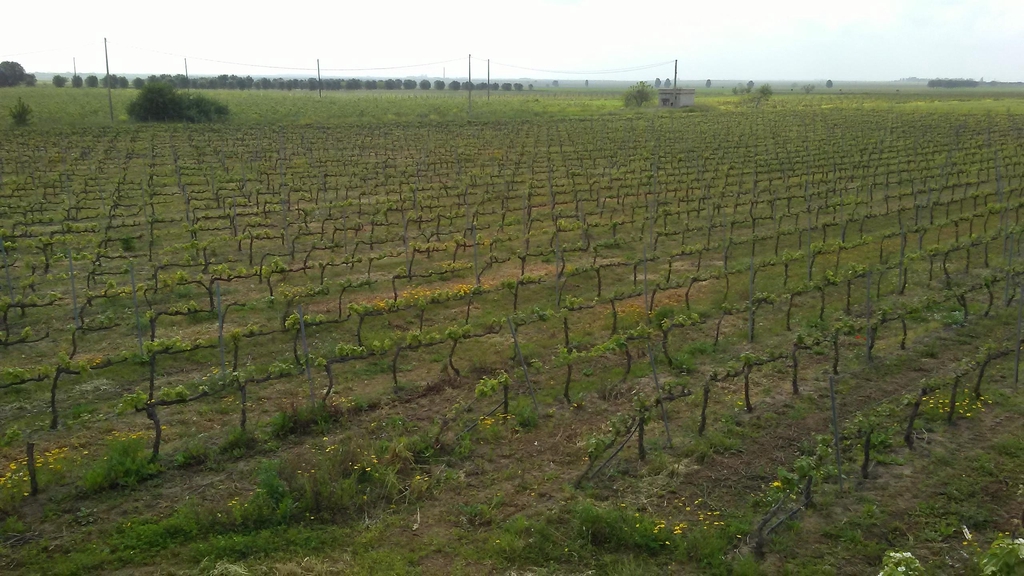 UN sorso di natura piacevole con un atto d'amore