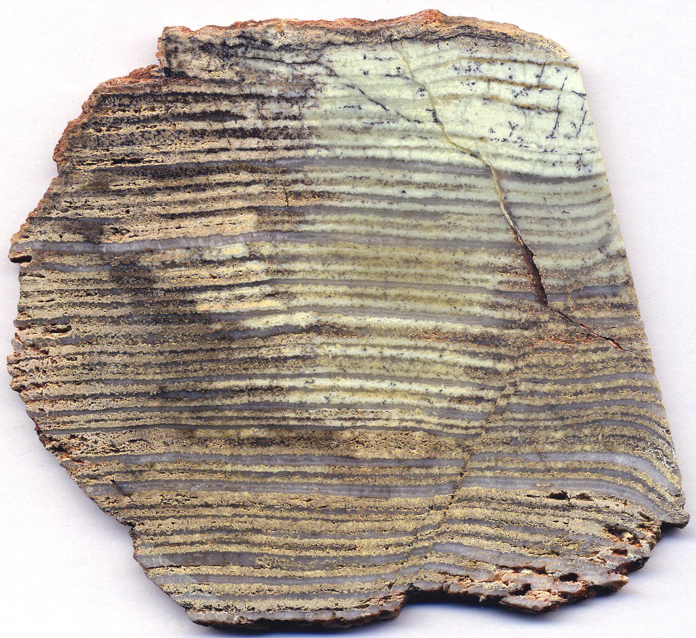Section image