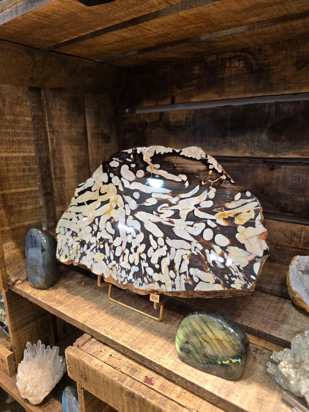 Peanut wood, ou "bois cacahuète"