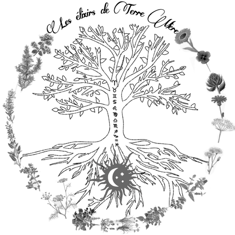 Cueilleuse et productrice de plantes aromatiques et médicinales Bio 