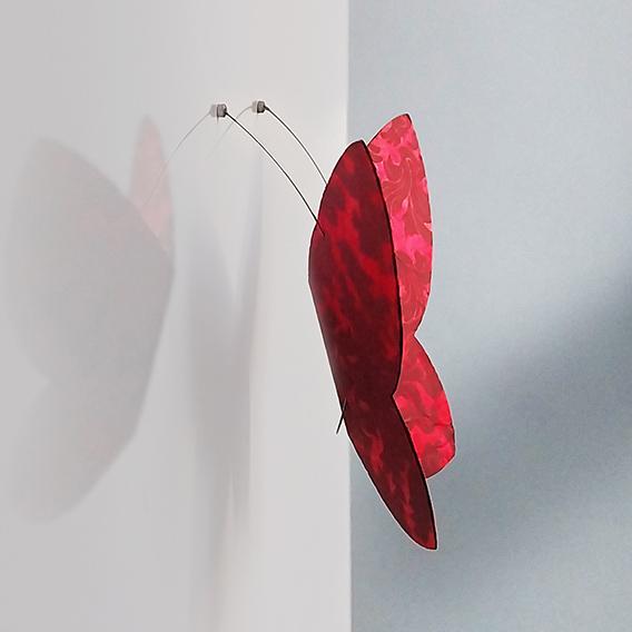 Un papillon-magnet vu de profil. Les minuscules et puissants aimants à l'extrémité des antennes des papillons leur permettent de tenir verticalement sur toute surface métallique.