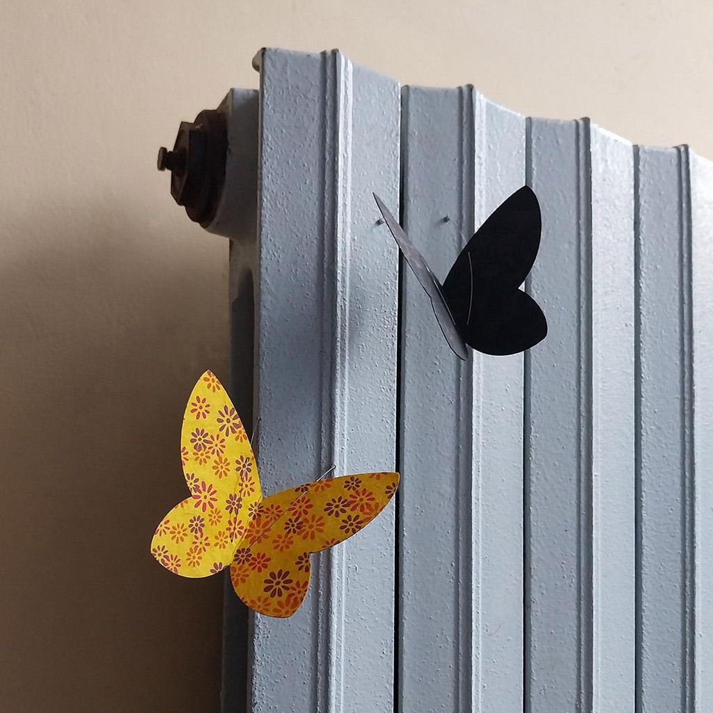 banner_image