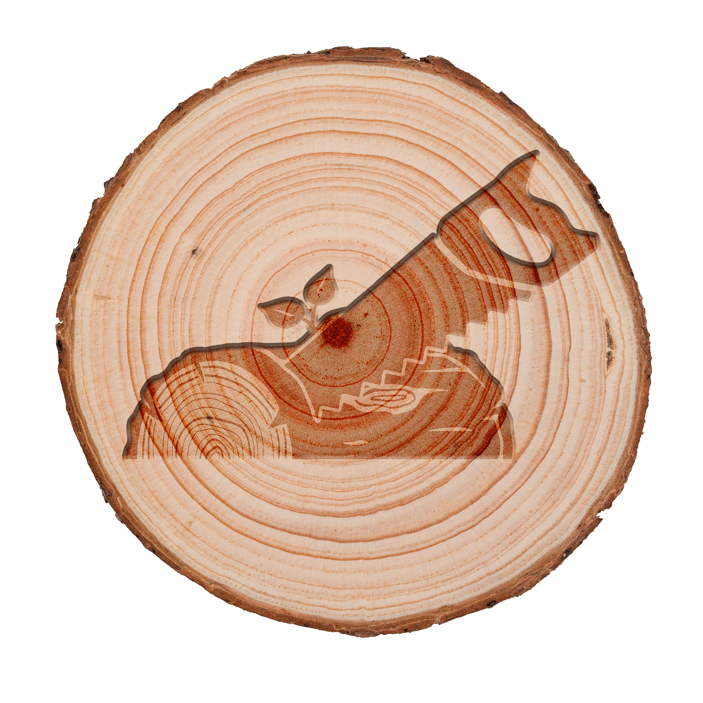 JHF Woodworking logo imprinted on a sliced tree trunk
