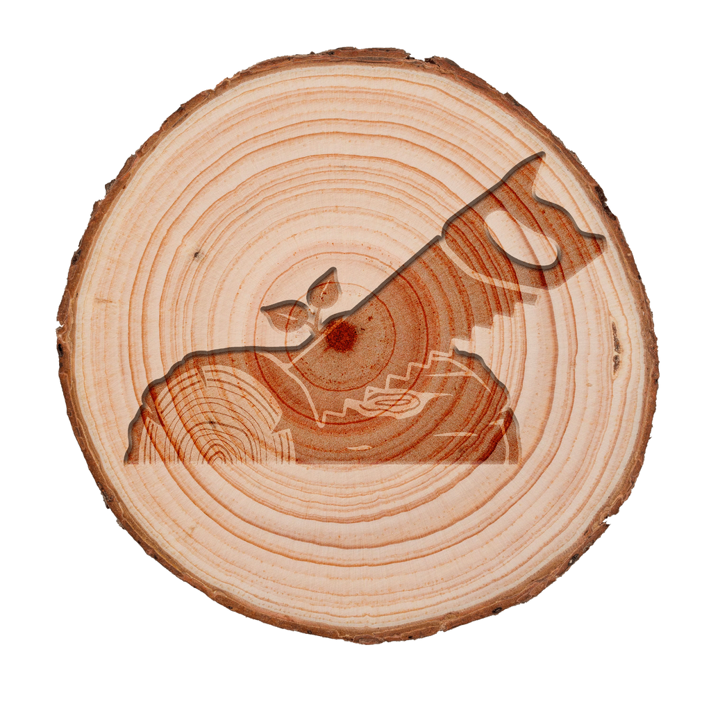 JHF Woodworking logo imprinted on a sliced tree trunk