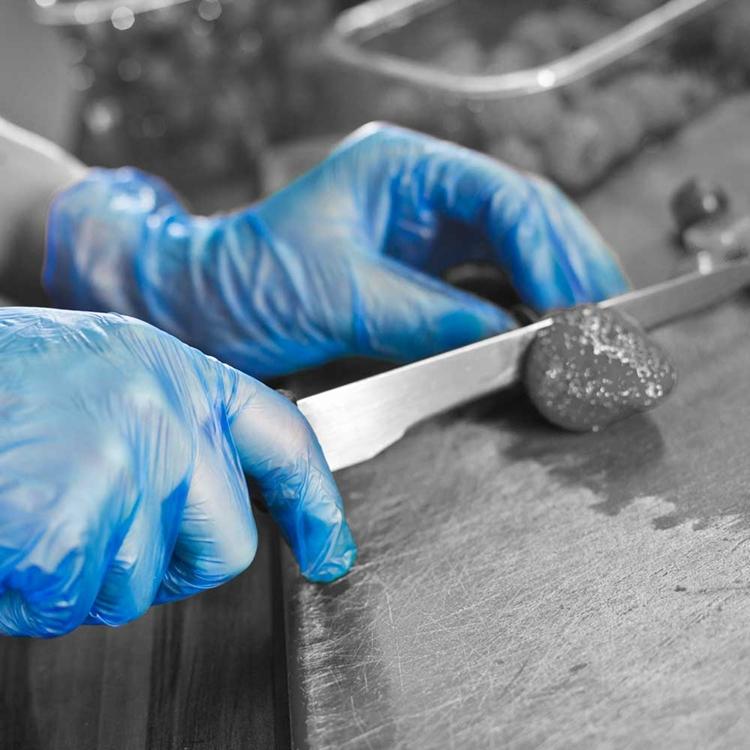Food Industry Gloves