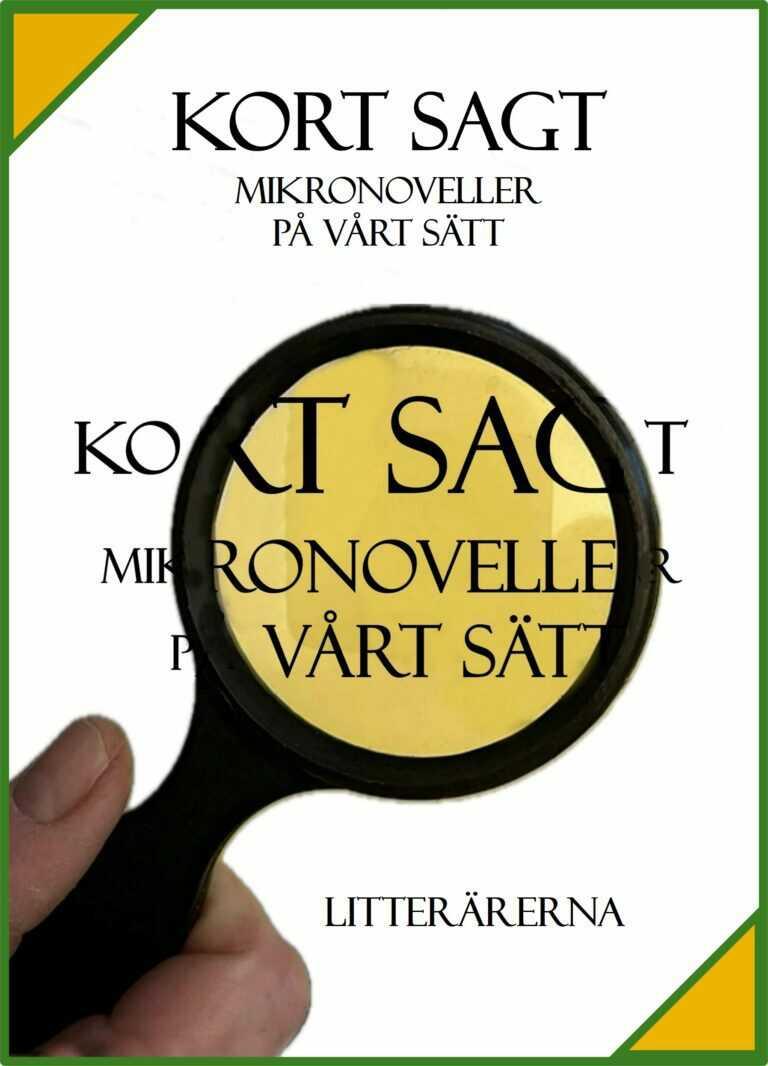 Kort sagt: Mikronoveller på vårt sätt