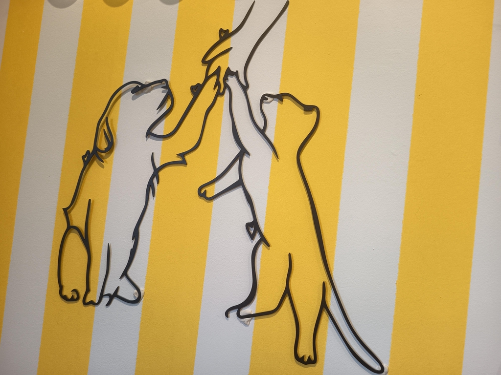 Accessoires originaux et colorés. Fait par des créateurs du monde entier.