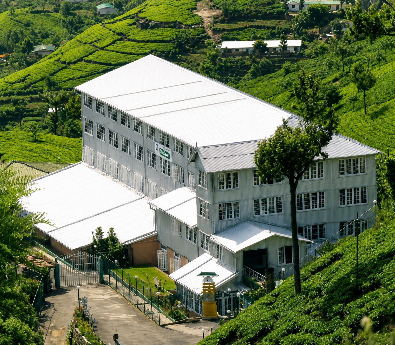 Section image