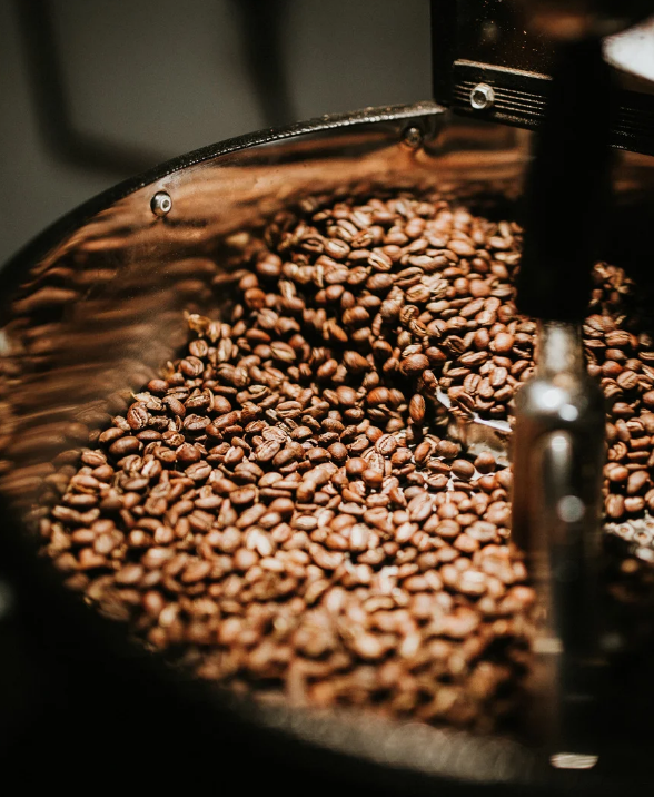 Artisan Speciality Coffee Bean