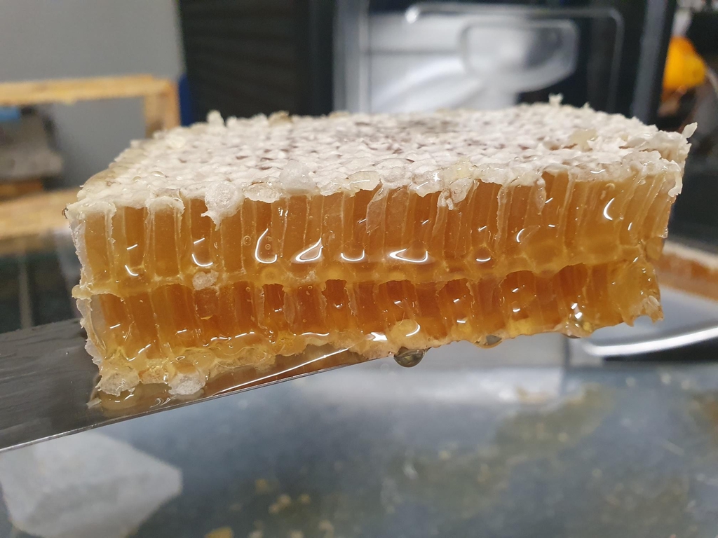 Honey and Honeybee products