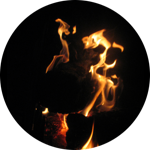 store_logo