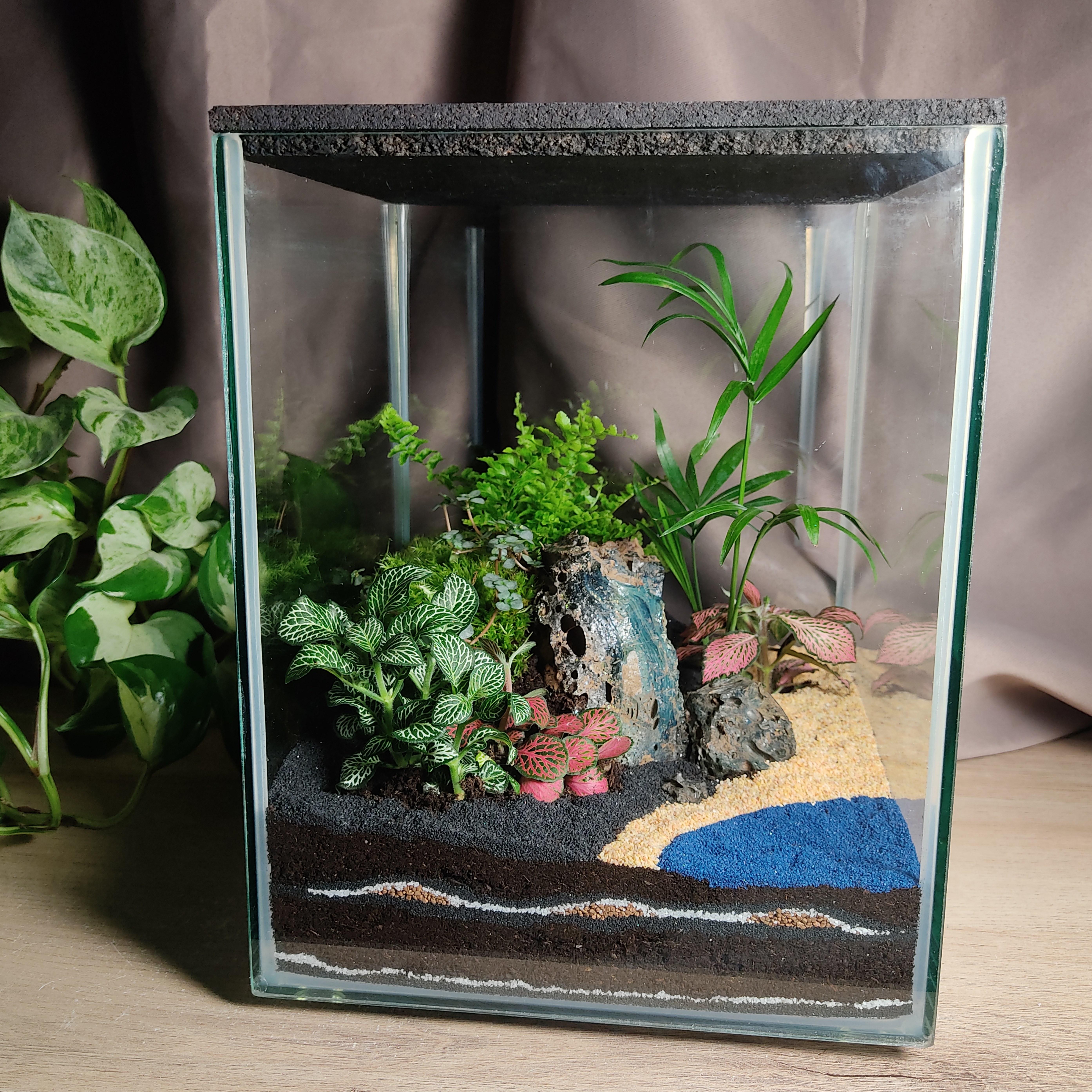 Qu'est-ce qu'un Terrarium, découvrez leur fonctionnement