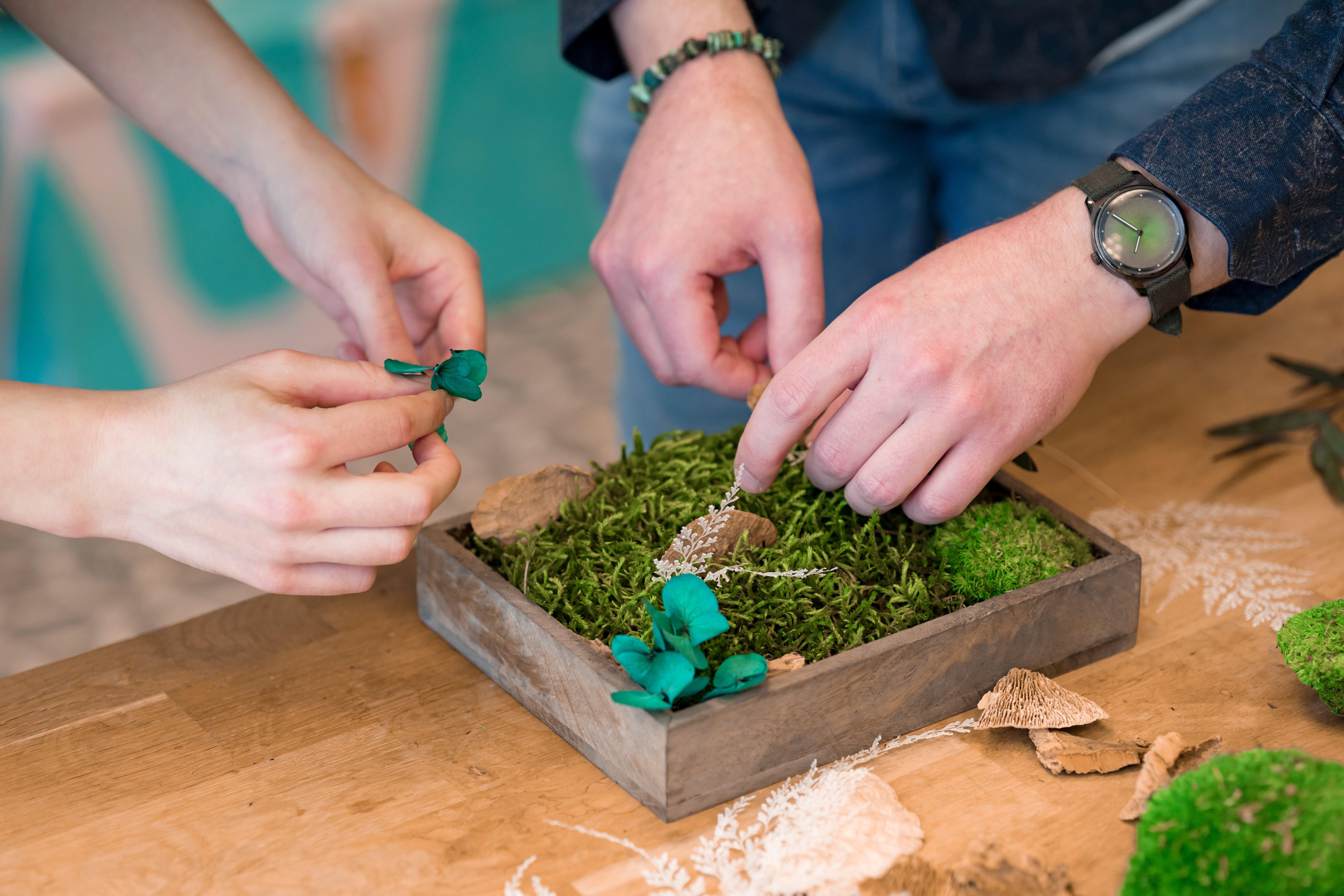 Ateliers de créations de terrariums et œuvres végétales (cadre en végétaux stabilisés)