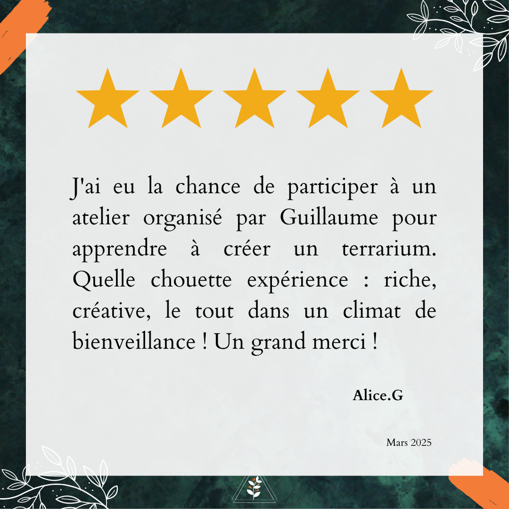 Avis Google L'Apothi'vert : Atelier en entreprise, en team building, un super moment à partager