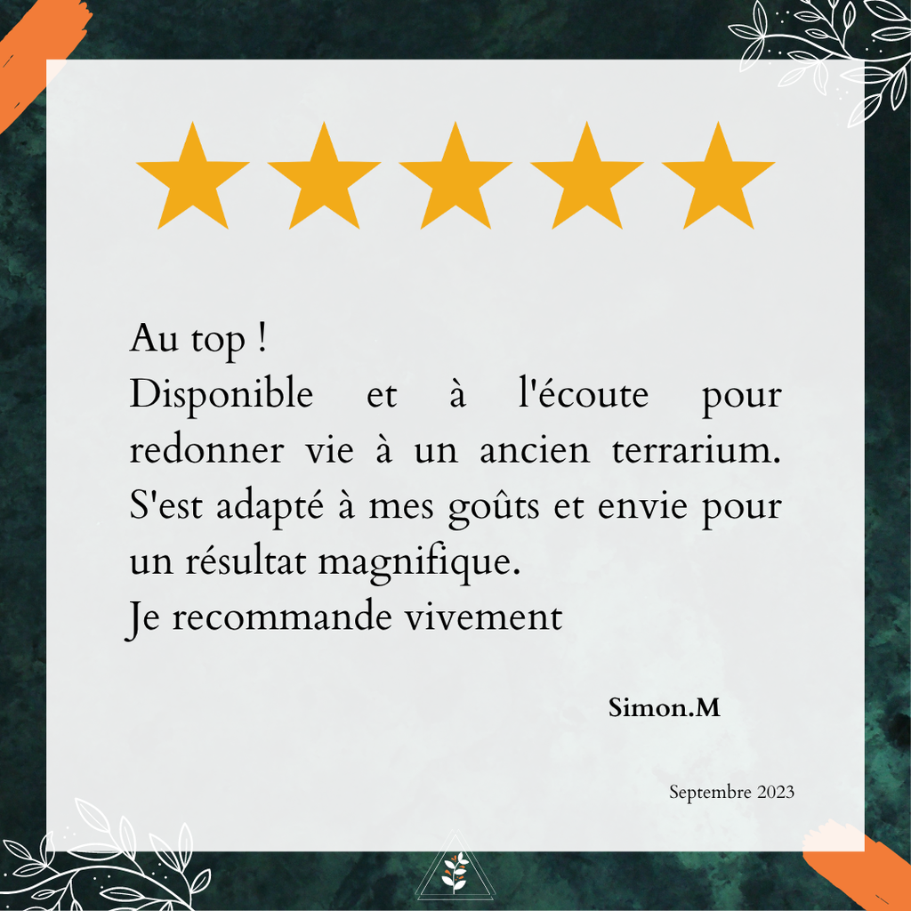 Avis Google L'Apothi'vert : Redonner vie à un ancien terrarium