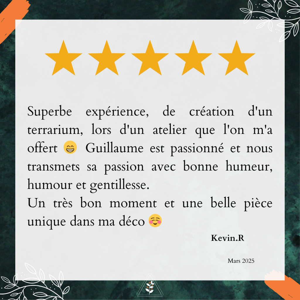 Avis Google L'Apothi'vert : Passionné, gentil, humour résume cet atelier terrarium