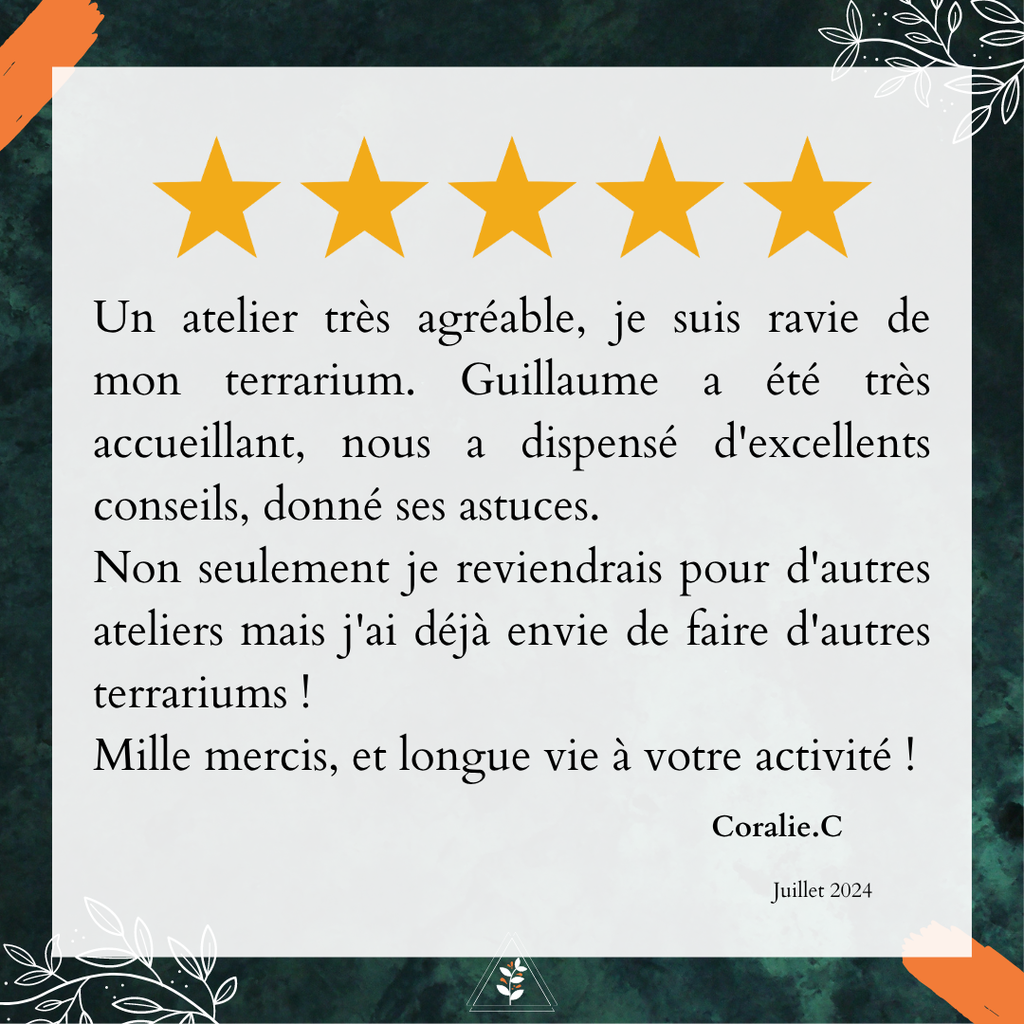 Avis Google L'Apothi'vert : Un super atelier terrarium, bienveillance, conseils et écoute