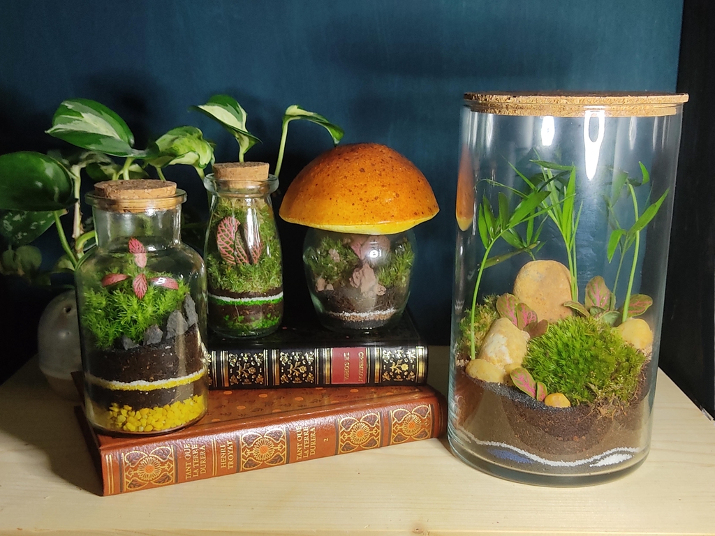 Découvrez nos Terrariums végétaux, au design uniques et insolites