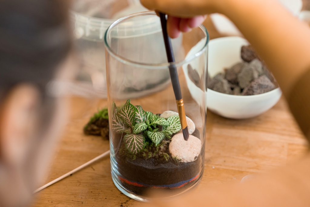 Participer à un atelier pour créer votre œuvre végétale. Entre terrariums et cadre végétaux, les plantes n'auront plus de secrets pour vous grâce à notre expert du végétal.