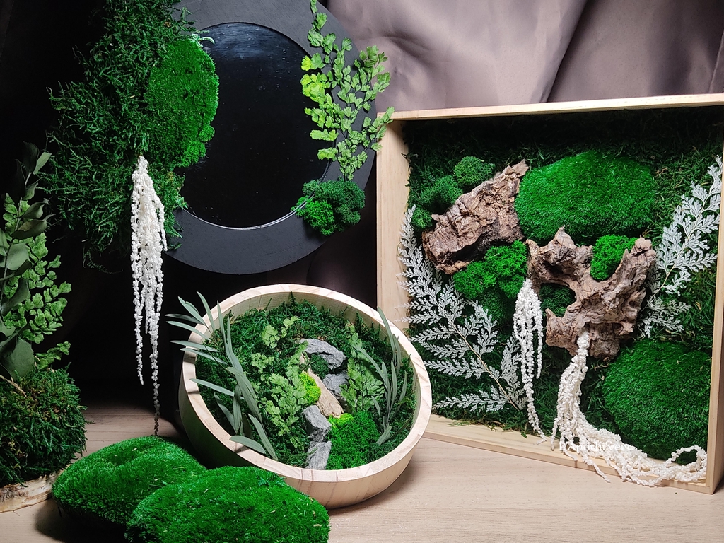 Nos créations en végétaux stabilisés, des végétaux sans entretien, des plantes sans contraintes