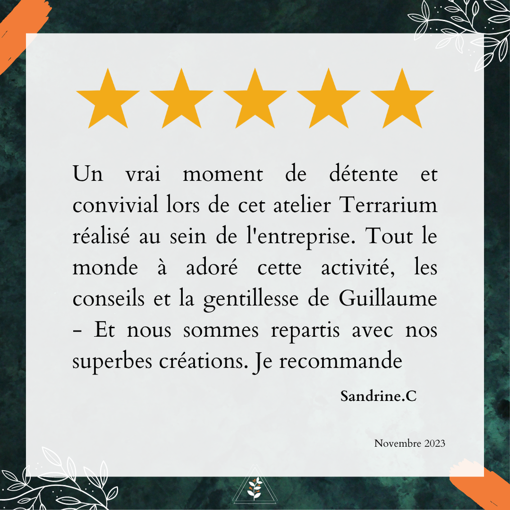 Avis Google L'Apothi'vert : Un atelier terrarium convivial