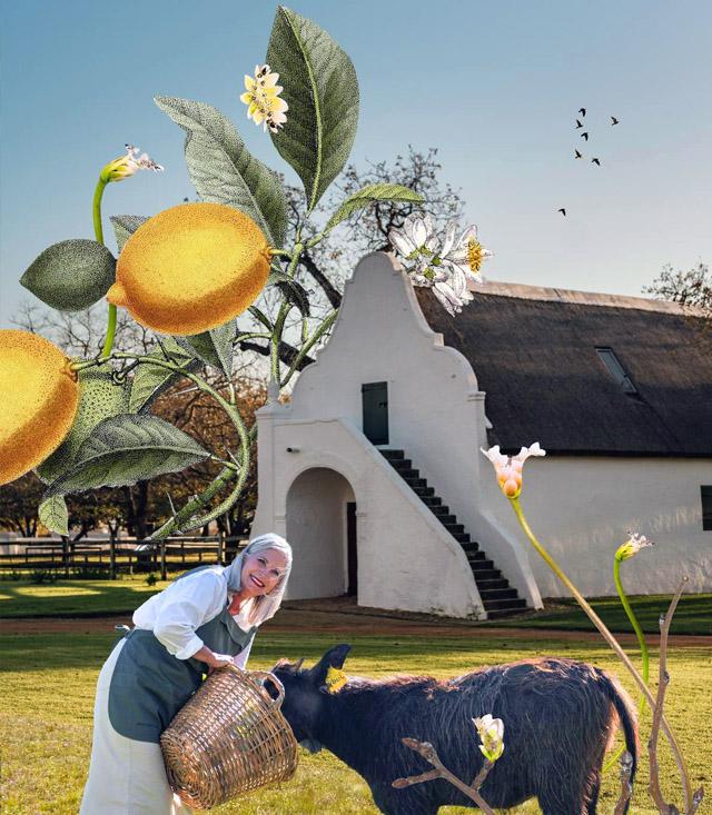 Babylonstoren