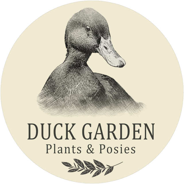 store_logo