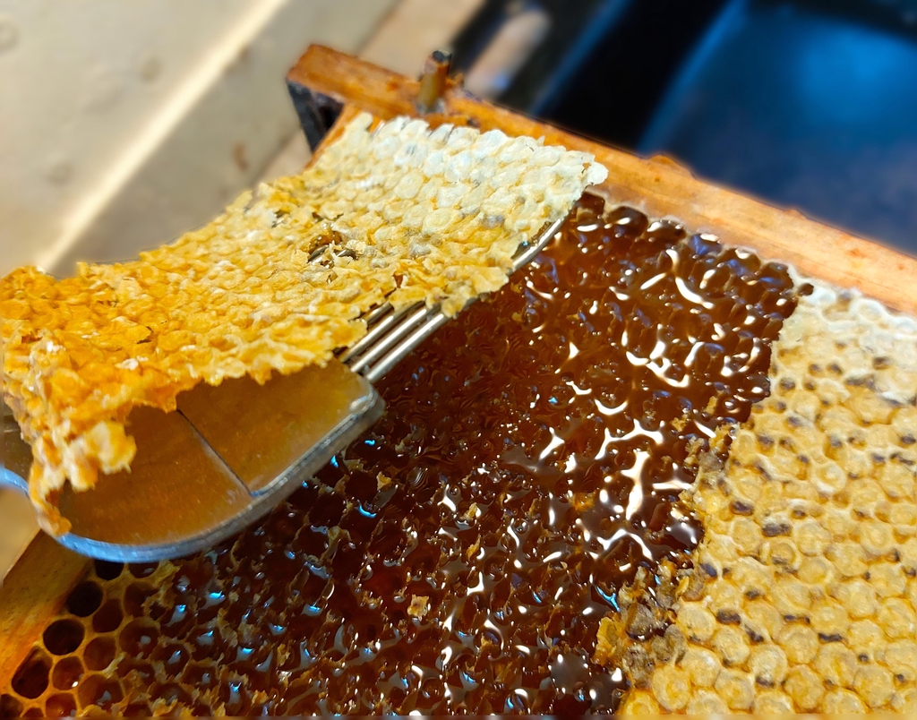banner_image