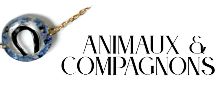 banner_image