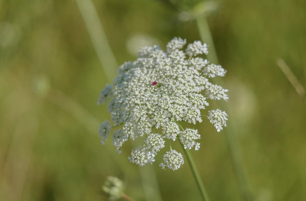 banner_image