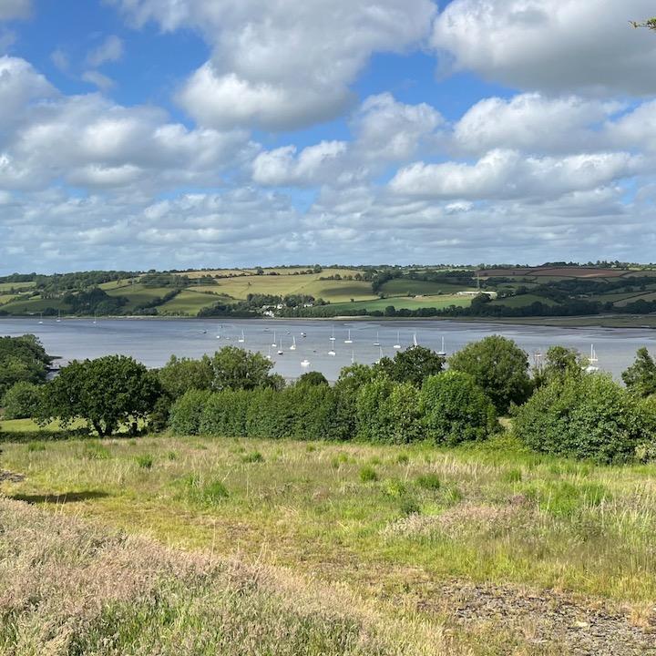 View from outside the bar