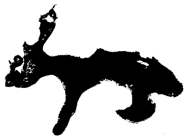 store_logo
