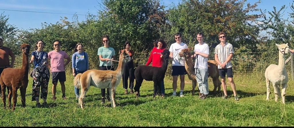 Walk, learn, and feed our alpacas.